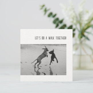 Hunde Party oder Pawty