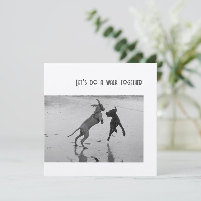 Hunde Party oder Pawty (Stehend Vorderseite)