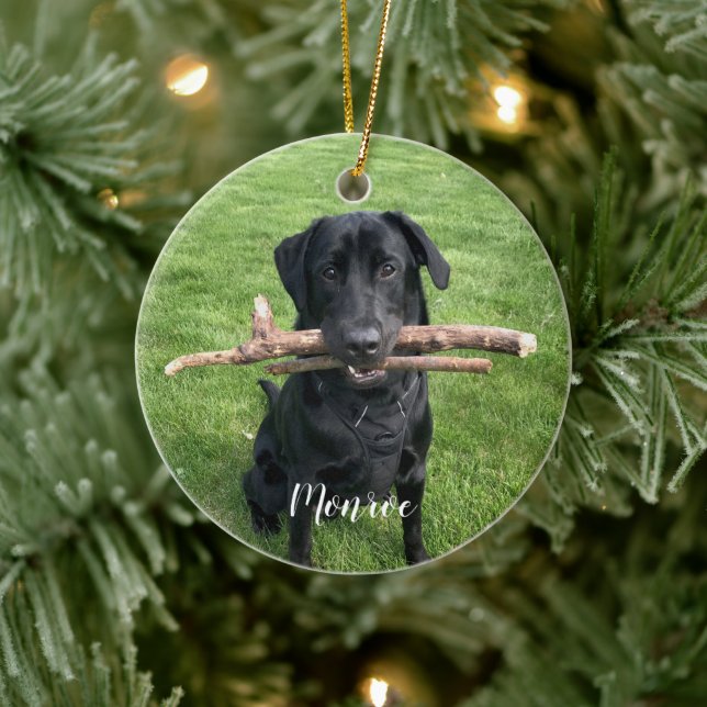 Hunde Personalisierter Name und Foto Urlaub Keramik Ornament (Baum)