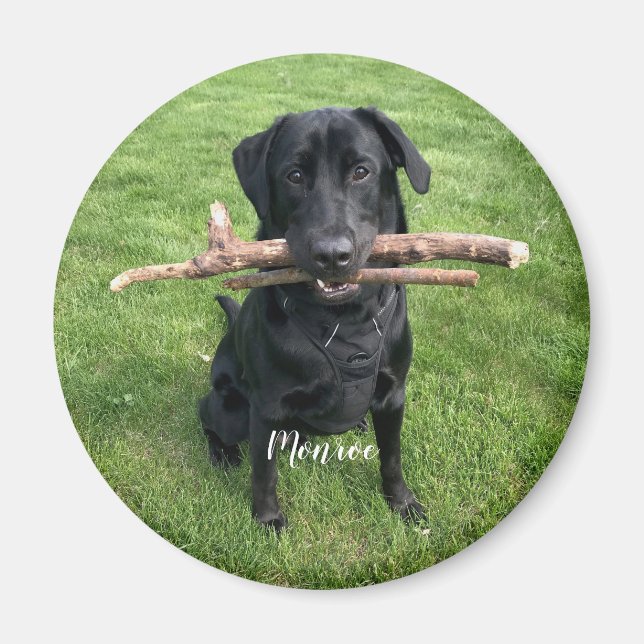 Hunde Personalisierter Name und Foto Urlaub Magnet (Vorne)