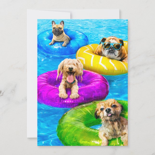 Hunde-Poolparty Einladung (Vorderseite)