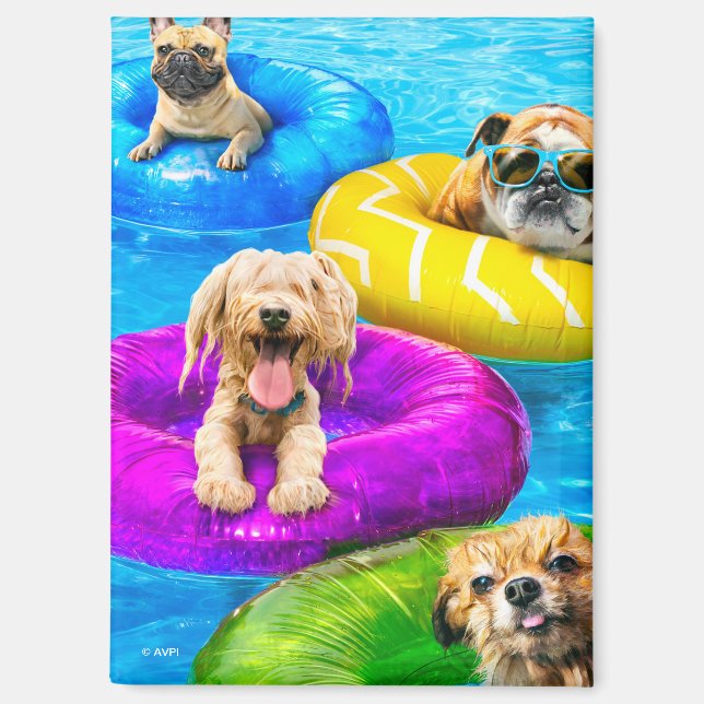 Hunde-Poolparty Magnet (Vorderseite)
