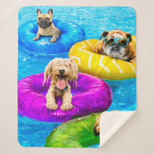 Hunde-Poolparty Sherpadecke