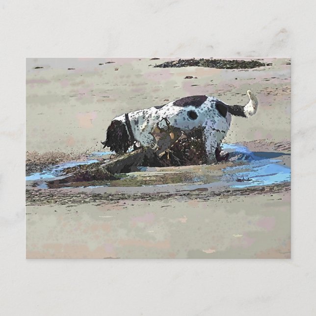 HUNDE POSTKARTE (Vorderseite)