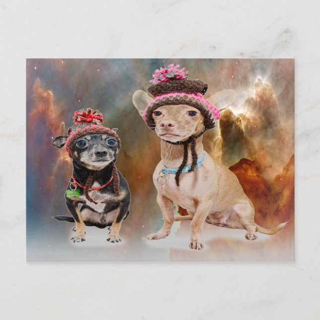 Hunde Postkarte (Vorderseite)