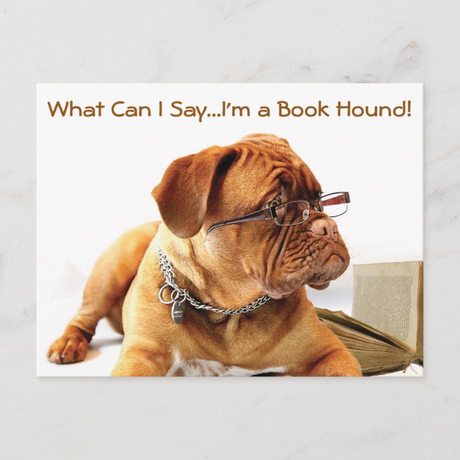 Hunde-Postkarte buchen Postkarte (Vorderseite)