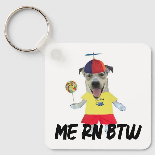Hunde-Propellerhut lustiger Spruch Schlüsselanhänger (Vorderseite)
