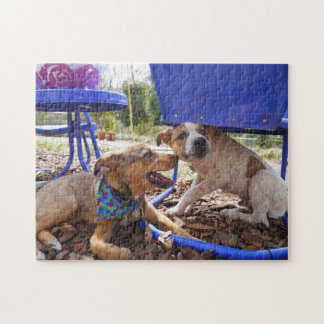 hunde puzzle