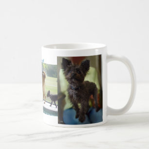 Hunde-Regel-Tasse Tasse
