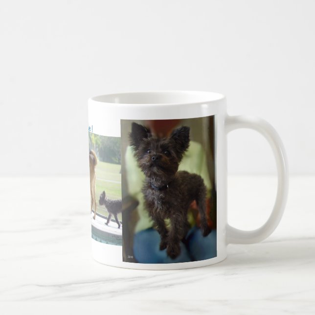 Hunde-Regel-Tasse Tasse (Rechts)
