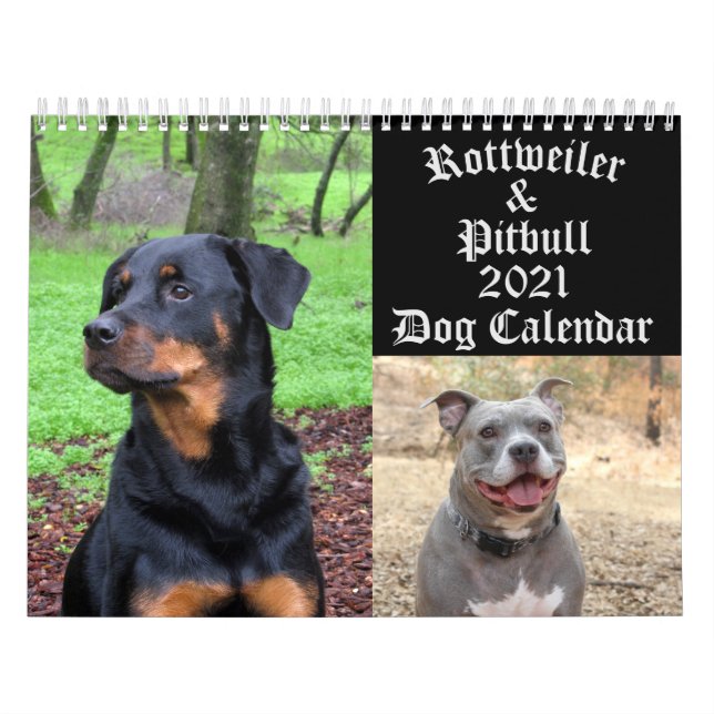Hunde Rottweiler und Pitbull Hund Kalender (Titelbild)
