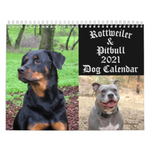 Hunde Rottweiler und Pitbull Hund Kalender