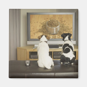 Hunde schauen Hundegericht mit Essen im Fernsehen Magnet