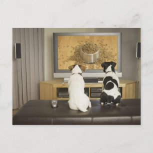 Hunde schauen Hundegericht mit Essen im Fernsehen Postkarte