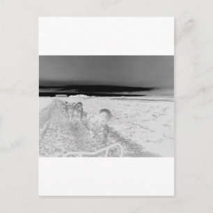 Hunde-Schlafen Postkarte