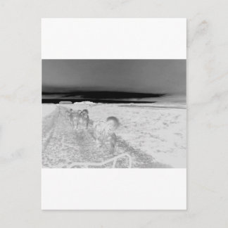 Hunde-Schlafen Postkarte