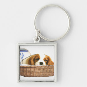 Hunde Schlüsselanhänger