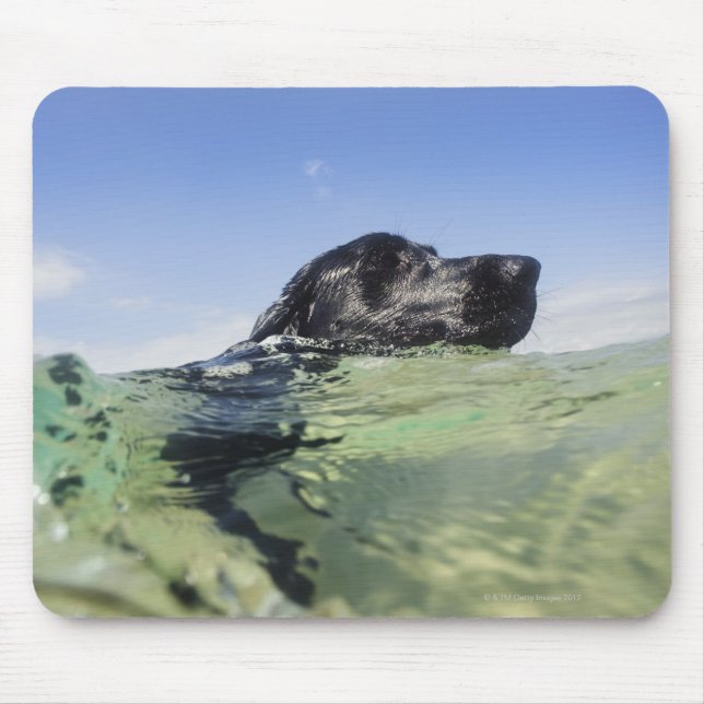 Hunde schwimmen im Wasser Mousepad (Vorne)