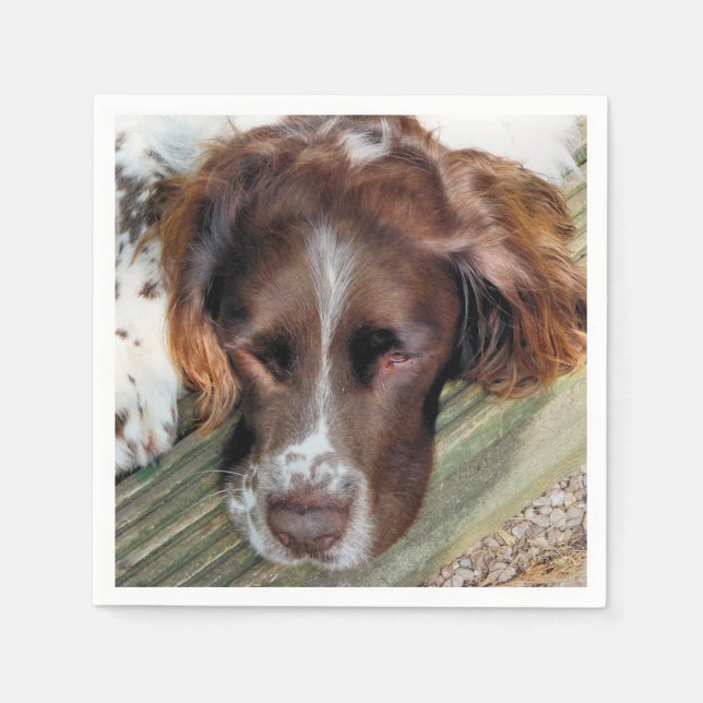 HUNDE SERVIETTE (Vorderseite)