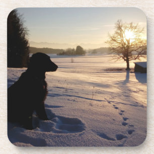 Hunde-Silhouette in Snowy Landschaft Getränkeuntersetzer