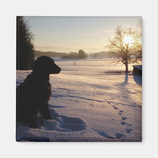 Hunde-Silhouette in Snowy Landschaft Magnet (Vorne)