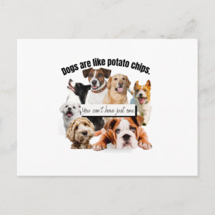 Hunde sind wie Kartoffelchips, man kann nicht einf Postkarte