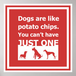 Hunde sind wie Kartoffelchips Poster