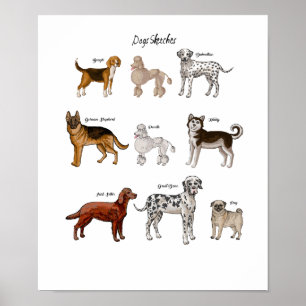 Hunde Sketches Poster
