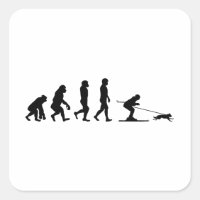 Hunde Skijoring Extreme Winter Sport Ski Evolution