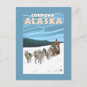 Hunde-Sledding-Szene - Cordova, Alaska Postkarte