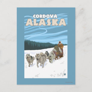 Hunde-Sledding-Szene - Cordova, Alaska Postkarte