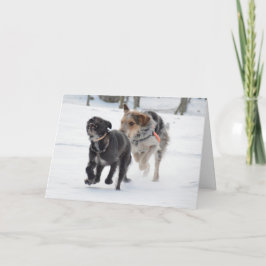 Hunde spielen im Schnee Weihnachten