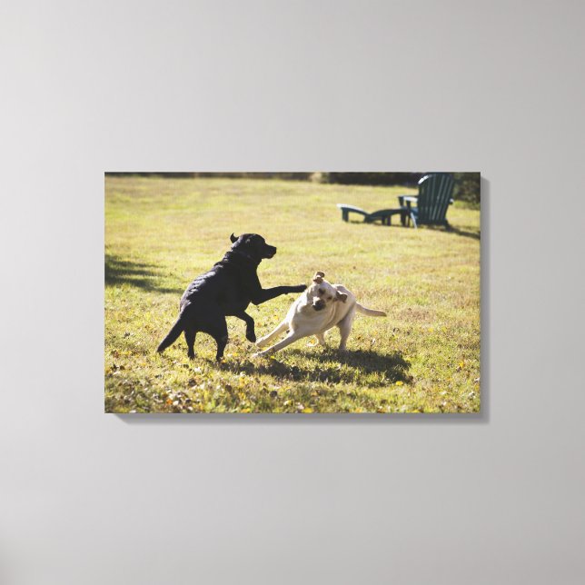 Hunde spielen leinwanddruck (Vorderseite)