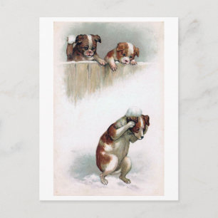 "Hunde spielen Schneebälle" Vintage Postkarte
