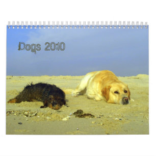 Hunde tragen für 2010 ein kalender