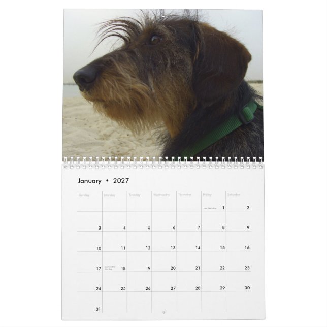Hunde tragen für 2010 ein kalender (Jan 2027)