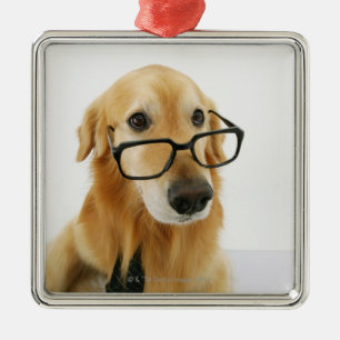 Hunde tragen Krawatte und Brille auf Stuhl sitzen Ornament Aus Metall