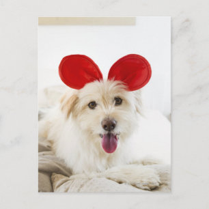 Hunde tragen Spielzeugohren auf dem Bett Postkarte
