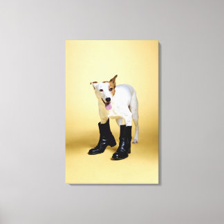 Hunde tragen Stiefel Leinwanddruck
