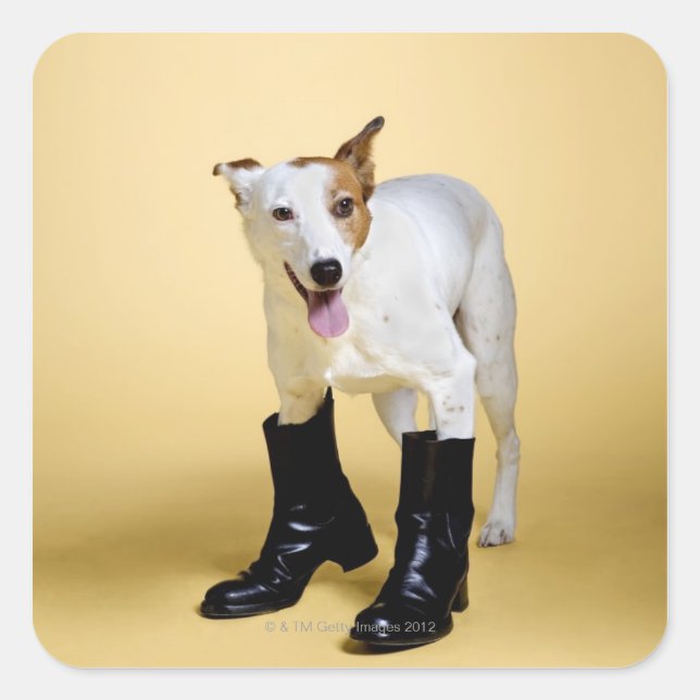 Hunde tragen Stiefel Quadratischer Aufkleber (Vorderseite)
