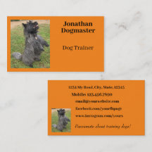 Hunde Trainer Foto Orange Citrus Hintergrund Minim