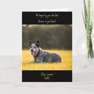 Hunde-Trauerkarte zum Verlust mit Foto Karte