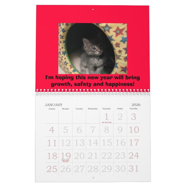 Hunde-u. Katzen-Kalender Kalender (Jan 2026)