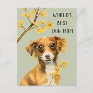 Hunde und Blume   Hunde-Mama   Muttertag Postkarte