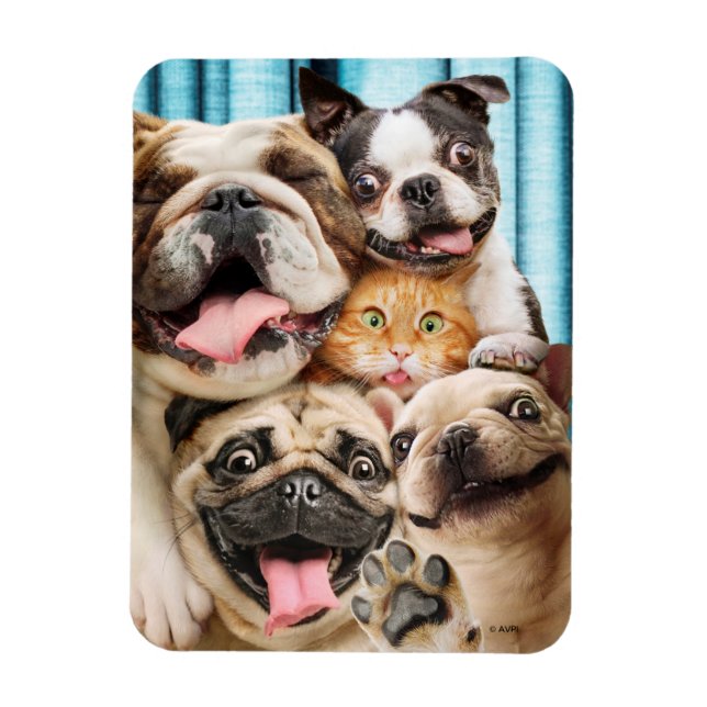Hunde und ein Cat Group-Foto Magnet (Vertikal)