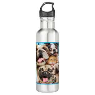 Hunde und ein Foto der Katzengruppe Edelstahlflasche