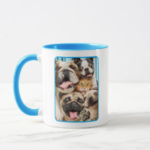 Hunde und ein Foto der Katzengruppe Tasse