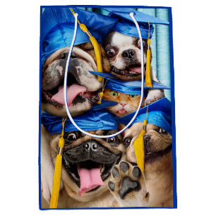 Hunde- und Katzen-Absolventen im Fotobooth Mittlere Geschenktüte