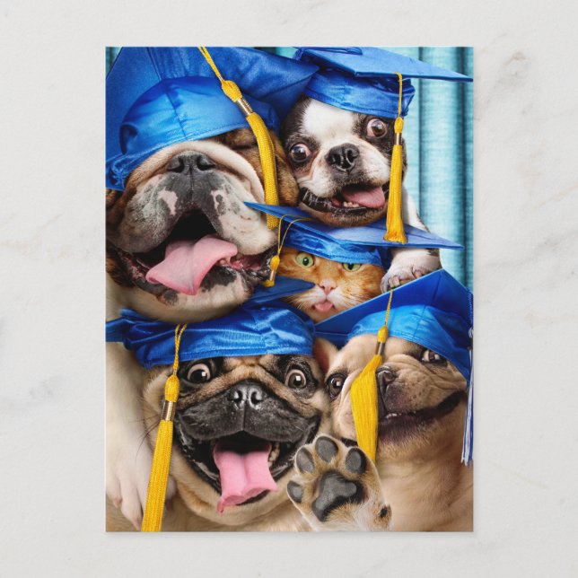 Hunde- und Katzen-Absolventen im Fotobooth Postkarte (Vorderseite)