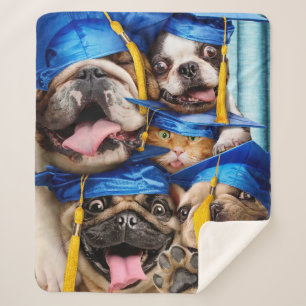 Hunde- und Katzen-Absolventen im Fotobooth Sherpadecke